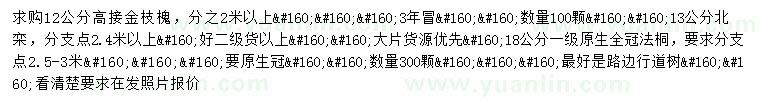 求购高接金枝槐、北栾、法桐