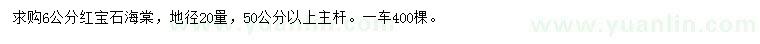 求购地径20量6公分红宝石海棠