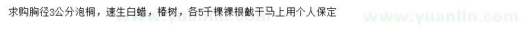 求购泡桐、速生白蜡、椿树