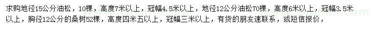 求购地径12、15公分油松、胸径12公分桑树