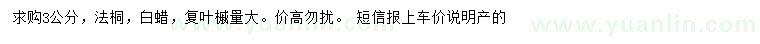 求购法桐、白蜡、复叶槭