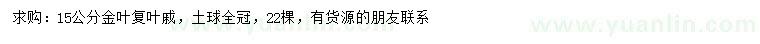 求购15公分金叶复叶槭