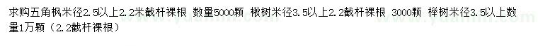 求购五角枫、楸树、榉树