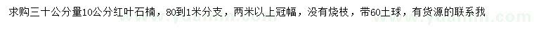 求购30公分量10公分红叶石楠