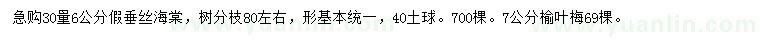 求购30量6公分假垂丝海棠、7公分榆叶梅