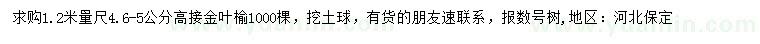 求购1.2米量4.6-5公分高接金叶榆