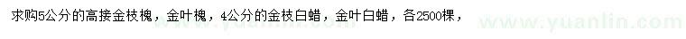 求购金枝槐、金叶槐、金枝白蜡等