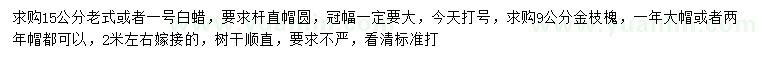 求购15公分老白蜡、9公分金枝槐