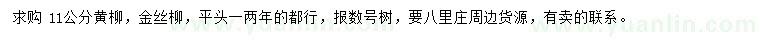 求购11公分黄柳、金丝柳