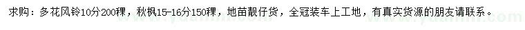 求购10公分多花风铃、15-16公分秋枫