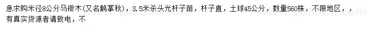 求购米径8公分马褂木、鹅掌秋