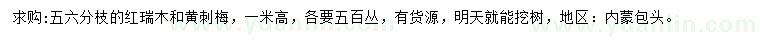 求购高1米红瑞木、黄刺梅