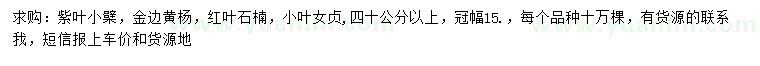 求购紫叶小檗、金边黄杨、红叶石楠等