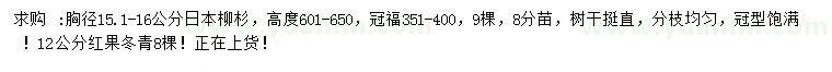 求购胸径15.1-16公分日本柳杉、12公分红果冬青