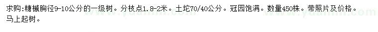 求购胸径9-10公分糖槭