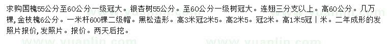 求购国槐、银杏树、金枝槐等