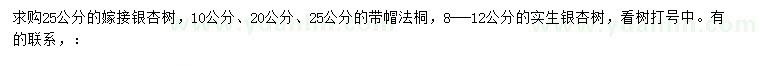 求购嫁接银杏、法桐、银杏树