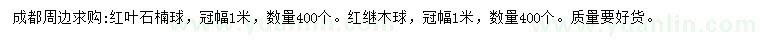 求购冠幅1米红叶石楠球、红继木球