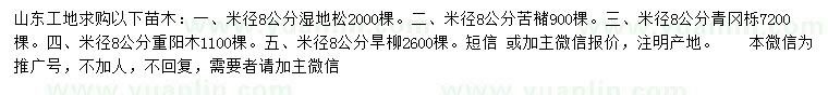 求购湿地松、苦槠、青冈栎等