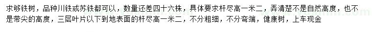 求购高1.2米川铁、苏铁