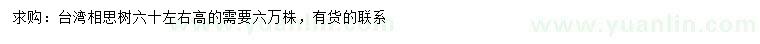 求购高60公分台湾相思树