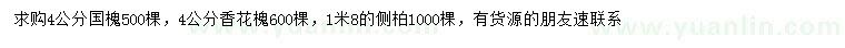 求购国槐、香花槐、侧柏