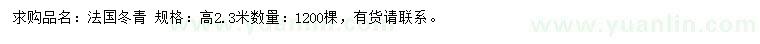 求购高2.3米法国冬青