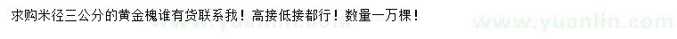 求购米径3公分黄金槐