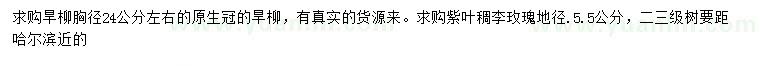 求购胸径24公分左右旱柳、地径.5.5公分紫叶稠李玫瑰