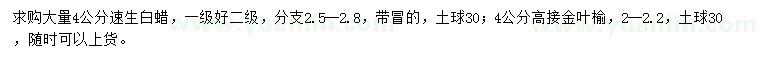 求购4公分速生白蜡、高接金叶榆