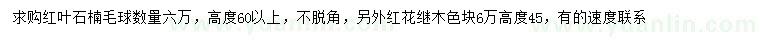 求购高60公分以上红叶石楠球、高45公分红花继木