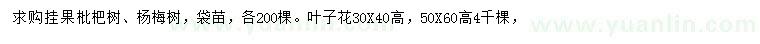 求购枇杷树、杨梅树、叶子花