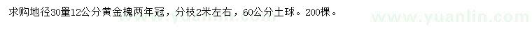 求购30公分量12公分黄金槐