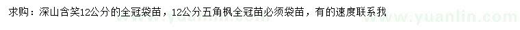 求购12公分深山含笑、五角枫