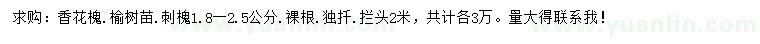 求购香花槐、榆树苗、刺槐