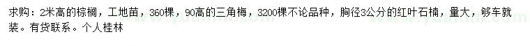 求购棕榈、三角梅、红叶石楠