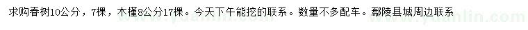 求购10公分椿树、8公分木槿