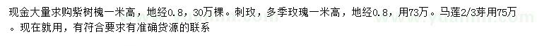 求购紫树槐、刺玫、多季玫瑰等