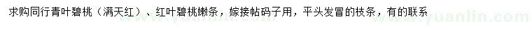 求购青叶碧桃（满天红）、红叶碧桃嫩条