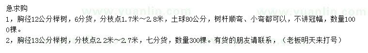 求购胸径12、13公分榉树