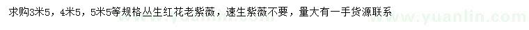 求购3.5米、4.5米5.5米丛生红花老紫薇