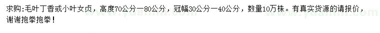 求购高70-80公分毛叶丁香或小叶女贞