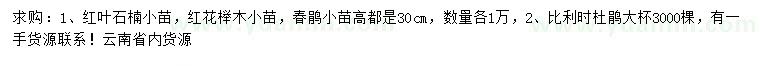 求购红叶石楠、红花继木、春鹃等