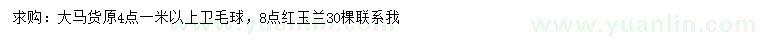 求购1米以上卫矛球、红玉兰