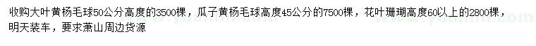 求购大叶黄杨球、瓜子黄杨球、花叶珊瑚