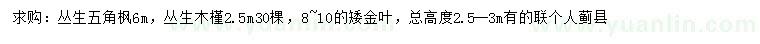 求购丛生五角枫、丛生木槿、矮金叶