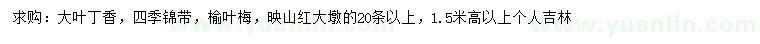 求购大叶丁香、四季锦带、榆叶梅等