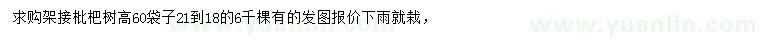 求购高60公分枇杷树