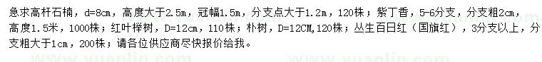 求购石楠、紫丁香、红叶榉树等