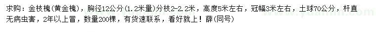 求购胸径12公分金枝槐、黄金槐